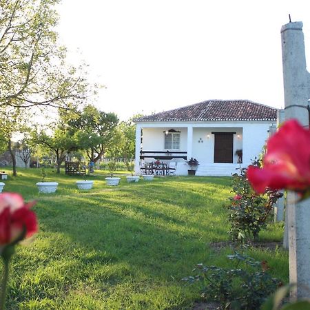 "Per Mik" Cottage In Vineyard Shkodër 外观 照片