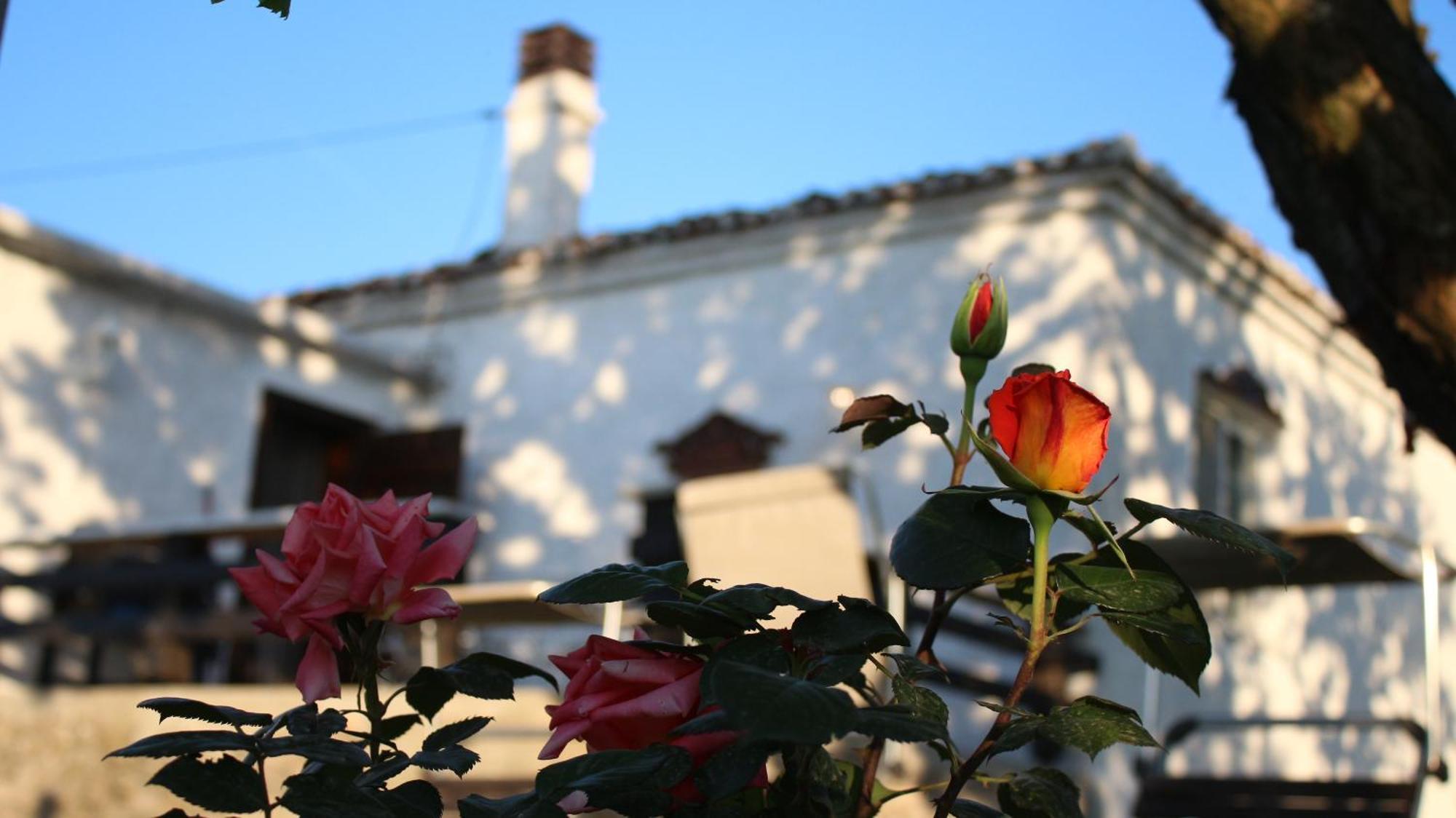 "Per Mik" Cottage In Vineyard Shkodër 外观 照片