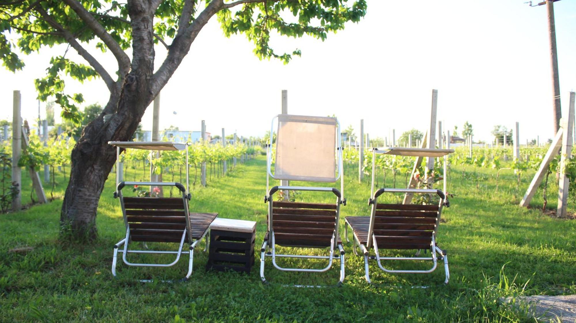 "Per Mik" Cottage In Vineyard Shkodër 外观 照片