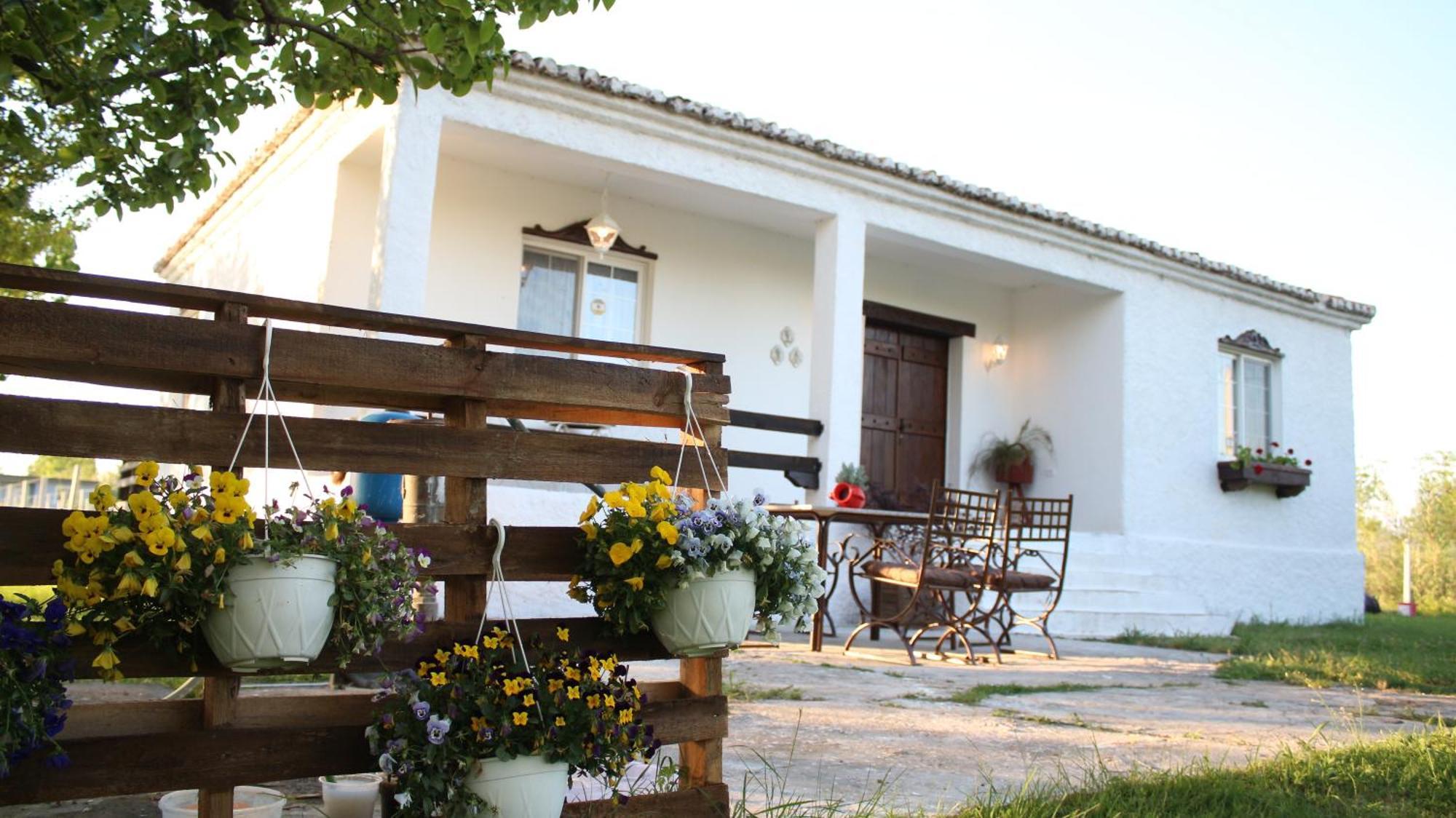 "Per Mik" Cottage In Vineyard Shkodër 外观 照片